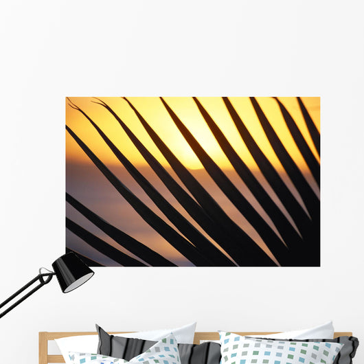 Close-Up Detail Palm Fronds Silhouetted Against Golden Sunset Skies Wall Mural