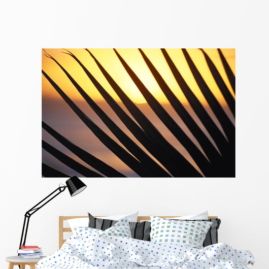 Close-Up Detail Palm Fronds Silhouetted Against Golden Sunset Skies Wall Mural