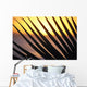 Close-Up Detail Palm Fronds Silhouetted Against Golden Sunset Skies Wall Mural