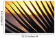 Close-Up Detail Palm Fronds Silhouetted Against Golden Sunset Skies Wall Mural