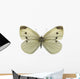Cabbage White Butterfly Wall Decal