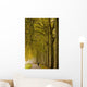 Cycliste Damier Wall Decal
