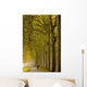 Cycliste Damier Wall Decal