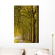 Cycliste Damier Wall Decal