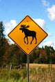 Moose Crossing Sign Wall Decal
