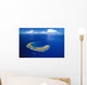 Snorkeling Spot Wall Mural