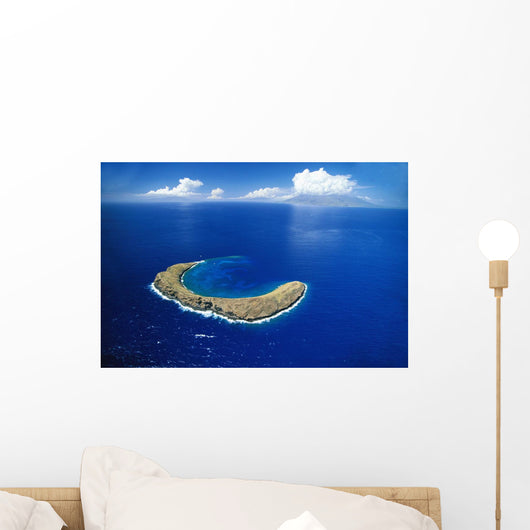 Snorkeling Spot Wall Mural