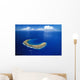 Snorkeling Spot Wall Mural
