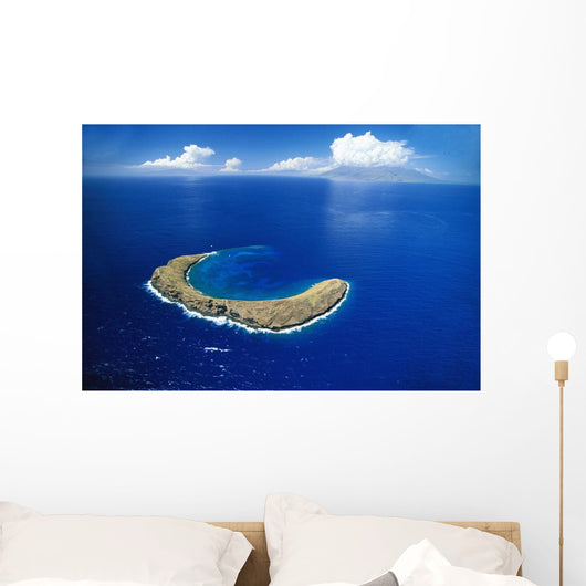 Snorkeling Spot Wall Mural