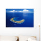 Snorkeling Spot Wall Mural
