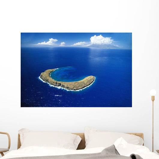 Snorkeling Spot Wall Mural