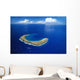 Snorkeling Spot Wall Mural