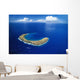 Snorkeling Spot Wall Mural