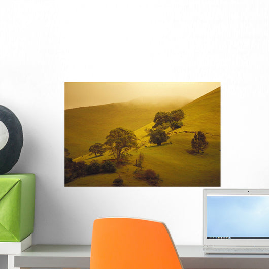Fog Misty Background Cattle Grazing Distance Wall Mural