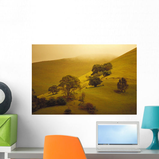 Fog Misty Background Cattle Grazing Distance Wall Mural