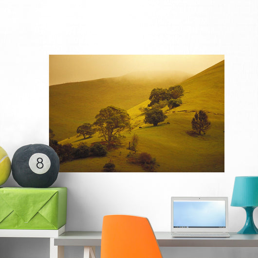 Fog Misty Background Cattle Grazing Distance Wall Mural