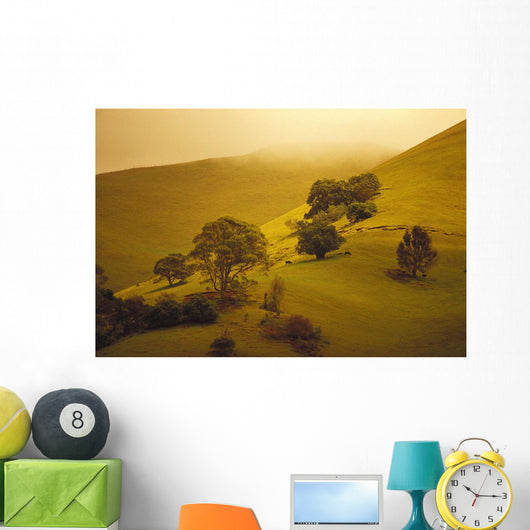 Fog Misty Background Cattle Grazing Distance Wall Mural