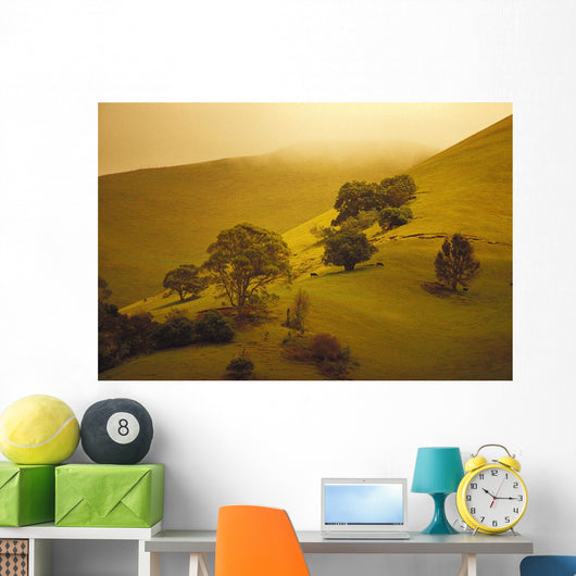 Fog Misty Background Cattle Grazing Distance Wall Mural