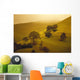 Fog Misty Background Cattle Grazing Distance Wall Mural