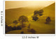 Fog Misty Background Cattle Grazing Distance Wall Mural