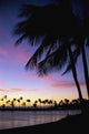 Palms At Sunset Colorful Tropical Scene Pink Clouds Golden Sky Wall Mural