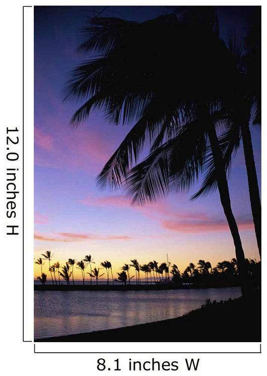 Palms At Sunset Colorful Tropical Scene Pink Clouds Golden Sky Wall Mural