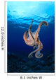Underside View Of Day Octopus With Surface Visible Wall Mural