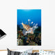 Fiji, Close-Up Side View Lionfish Over Coral Reef With Blue Ocean Wall Mural
