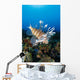 Fiji, Close-Up Side View Lionfish Over Coral Reef With Blue Ocean Wall Mural