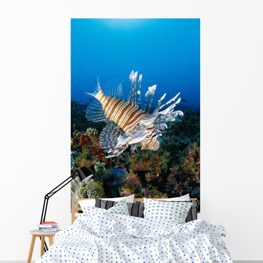 Fiji, Close-Up Side View Lionfish Over Coral Reef With Blue Ocean Wall Mural