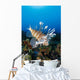 Fiji, Close-Up Side View Lionfish Over Coral Reef With Blue Ocean Wall Mural