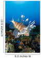 Fiji, Close-Up Side View Lionfish Over Coral Reef With Blue Ocean Wall Mural