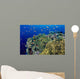 Reef Scene With Orange-Fin Anemonefish Wall Mural
