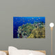 Reef Scene With Orange-Fin Anemonefish Wall Mural