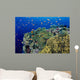 Reef Scene With Orange-Fin Anemonefish Wall Mural