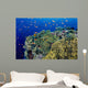 Reef Scene With Orange-Fin Anemonefish Wall Mural
