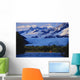Mendenhall Glacier Background Wall Mural