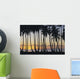 Sun Ball Horizon Wall Mural