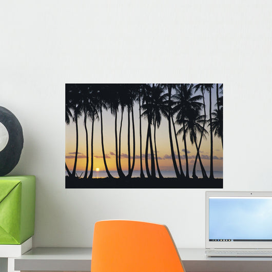 Sun Ball Horizon Wall Mural
