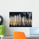 Sun Ball Horizon Wall Mural