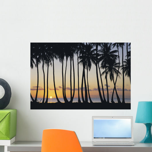 Sun Ball Horizon Wall Mural