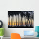 Sun Ball Horizon Wall Mural