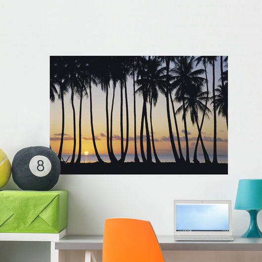Sun Ball Horizon Wall Mural