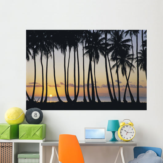 Sun Ball Horizon Wall Mural