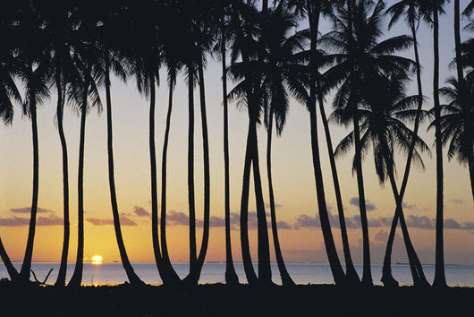 Sun Ball Horizon Wall Mural
