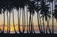 Sun Ball Horizon Wall Mural