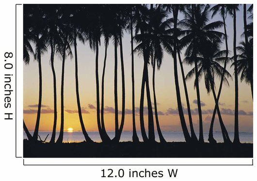 Sun Ball Horizon Wall Mural
