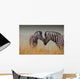 Zebras-Mother and Son Wall Mural
