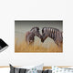 Zebras-Mother and Son Wall Mural