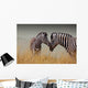 Zebras-Mother and Son Wall Mural